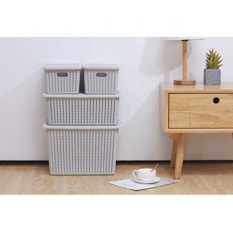 2020 new Design Custom Printed Suppliers Baskets Plastic Rattan Storage Box With Handles