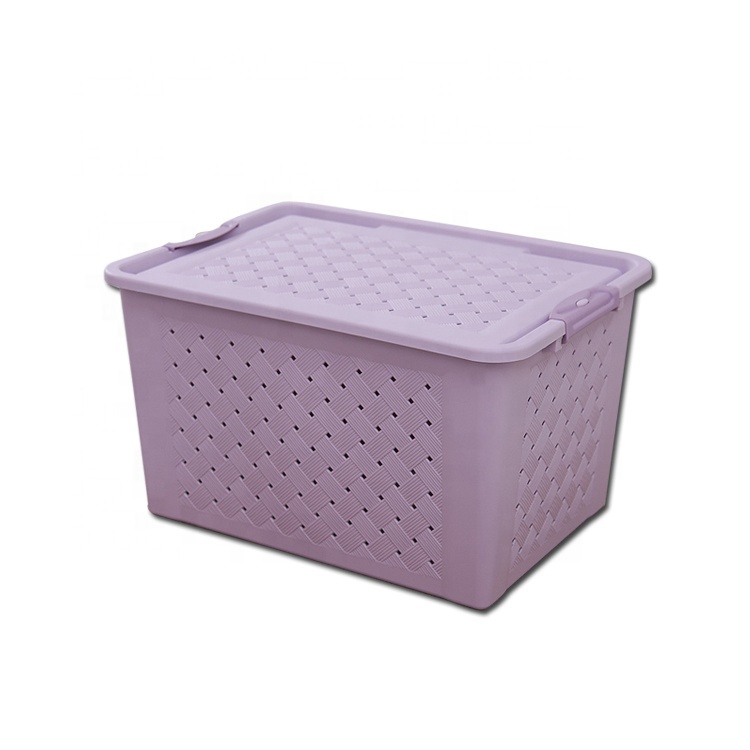China Hot Saling 25L Plastic Storage Box with Multiple Functions